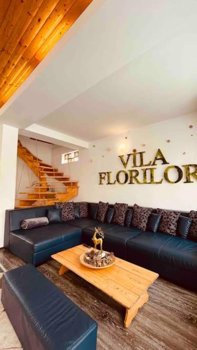 Vila Florilor Busteni Bagian luar foto